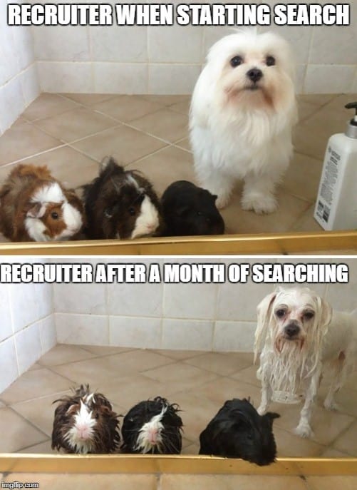 recruiting meme