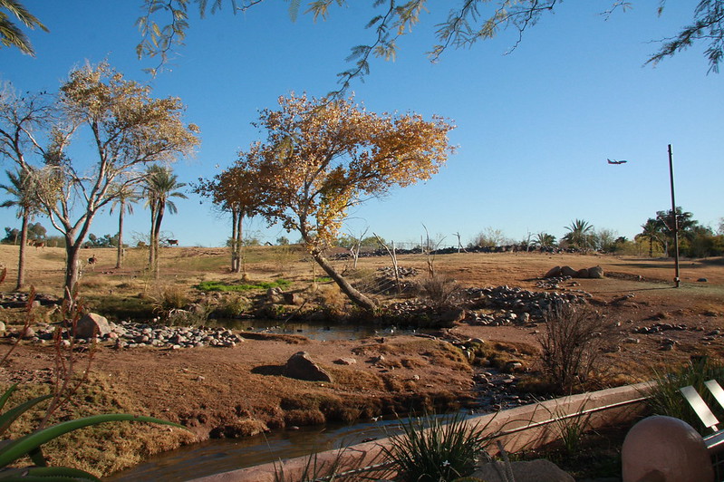 phoenix zoo